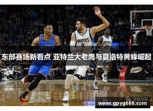 东部赛场新看点 亚特兰大老鹰与夏洛特黄蜂崛起