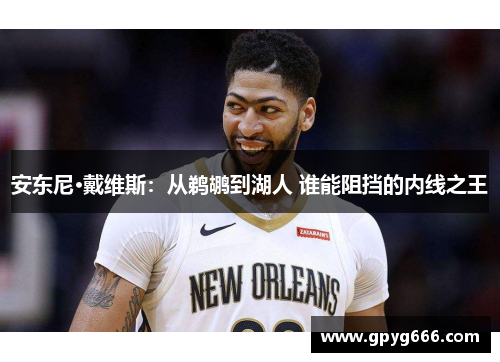 安东尼·戴维斯：从鹈鹕到湖人 谁能阻挡的内线之王