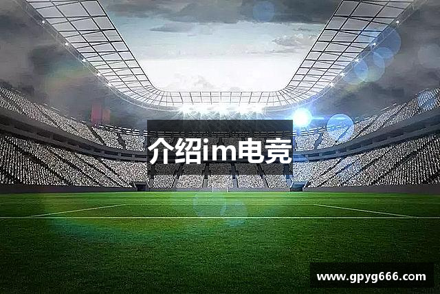 介绍im电竞